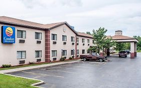 Comfort Inn & Suites Hamburg - Buffalo South